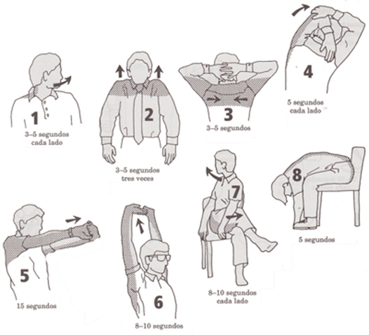 APLICACION DE LOS ESTIRAMIENTOS PROFUNDOS A AMBIENTE LABORAL
