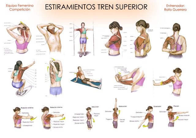 PROFUNDIZACION ESTIRAMIENTOS FUNCIONALES