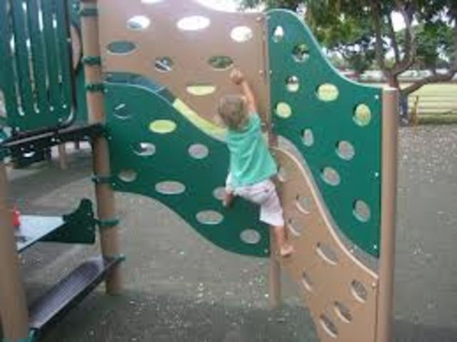 30-36 Months , Physical