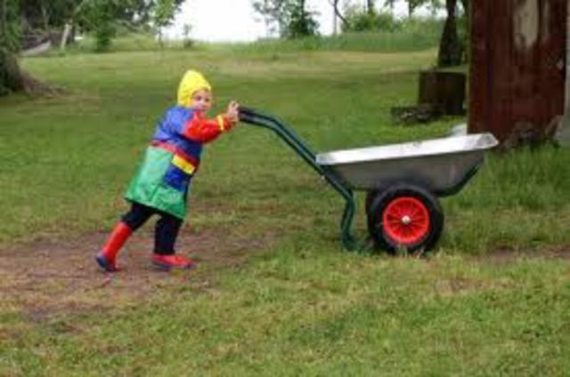 30 -36 Months : Physical