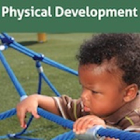 19-21 months - physical