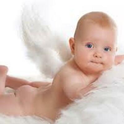 Timeline: Toddler Timeline