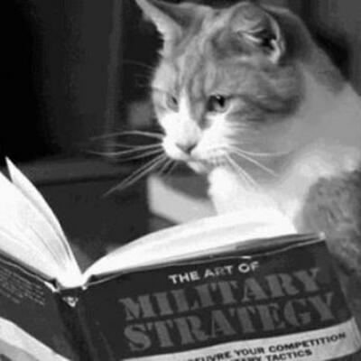 Timeline: Supreme Court Cases of the Time Period Which We Covered In APUSH Class