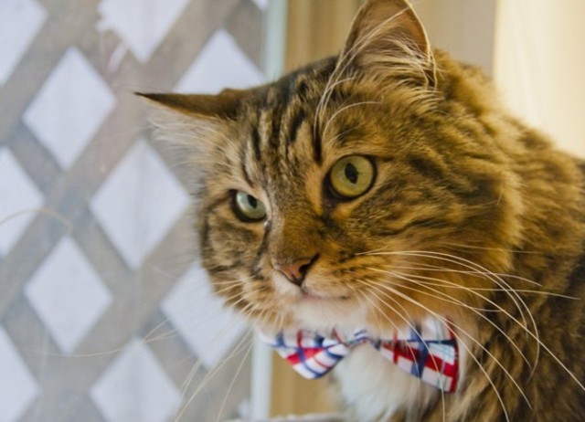 Prigg v. Pennsylvania