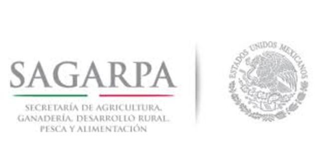 Programa Sectorial De Agricultura, Ganadería, Desarrollo Rural, Pesca Y Alimentación