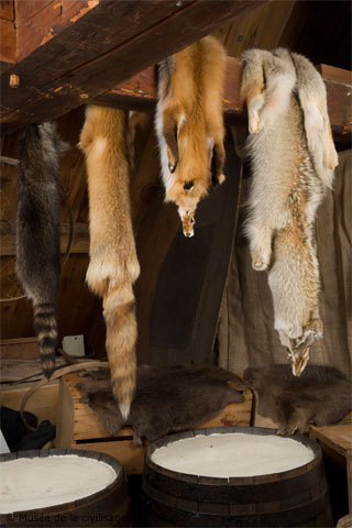 Commerce des fourrures