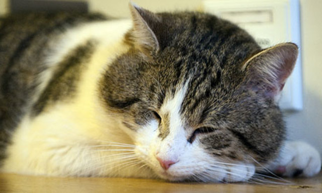 United States v. Harris (KKK Cases)