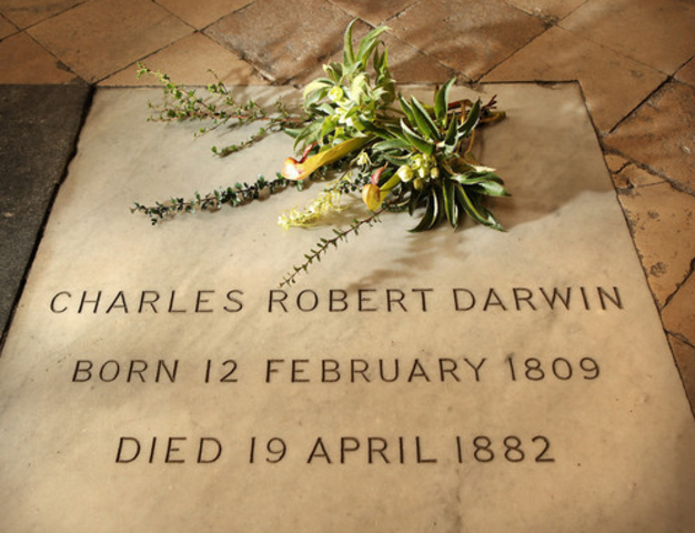 Darwin's Burial