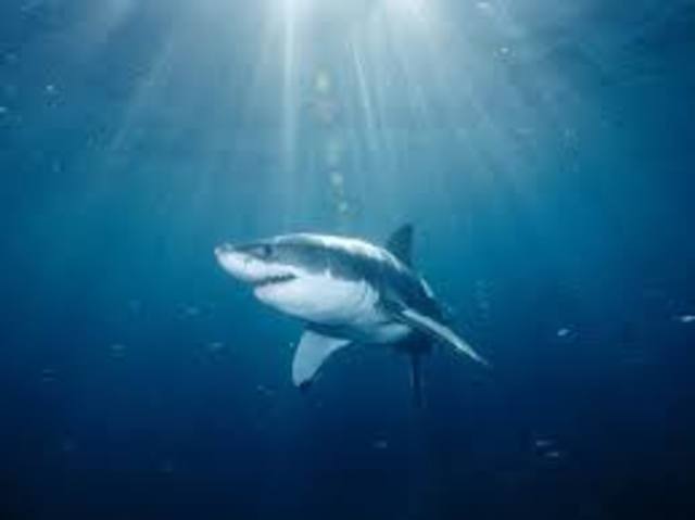 mya - Dramatic Change