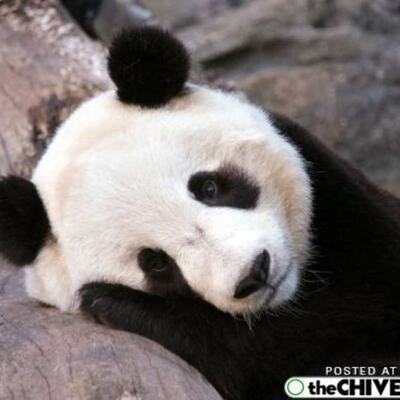 Timeline: us history