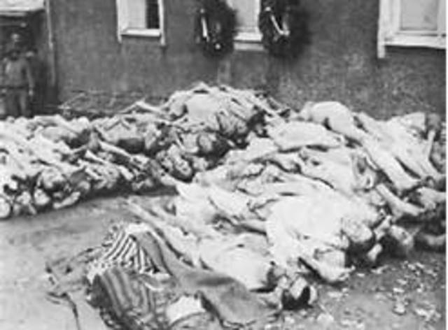 the Nazis implement the final solution