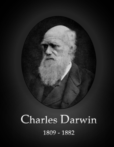 Neo Darwinism