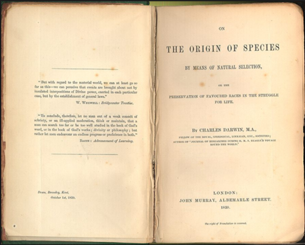 Origin of Species