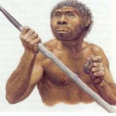 Timeline: Linea del tiempo biología