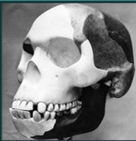 Piltdown Man