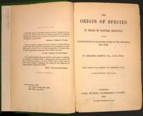 Origin of Species