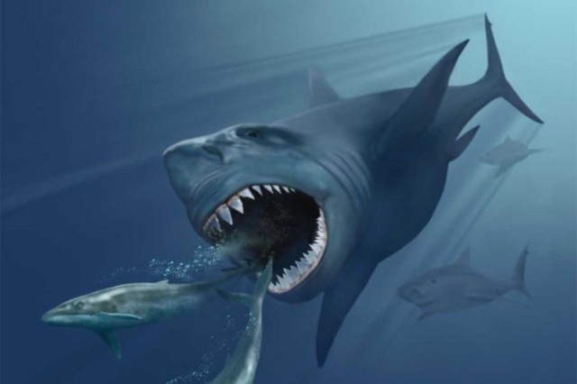 Devonian Period, 408 MYA