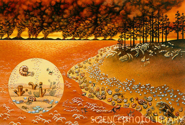 Pennsylvanian Period, 299 MYA