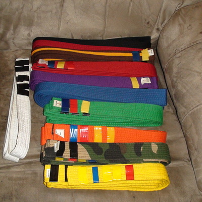 Timeline: My Karate Career