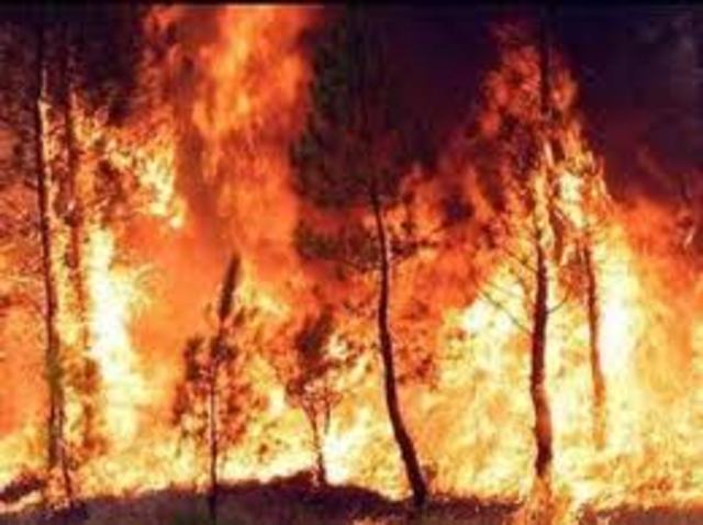 Grandes incendios forestales