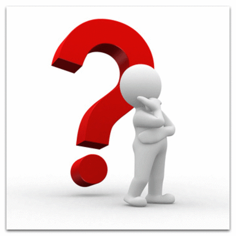 Circulatory function.