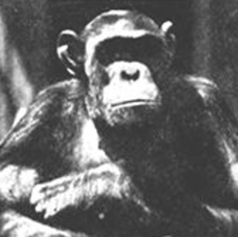 First anti-evolution Bills