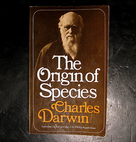 Origin of Species