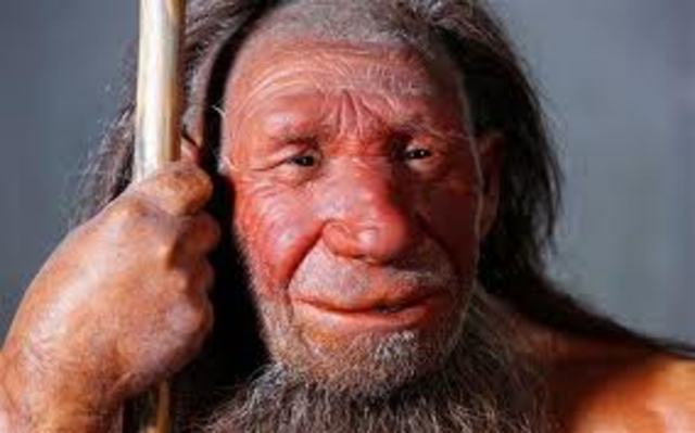 Neanderthal