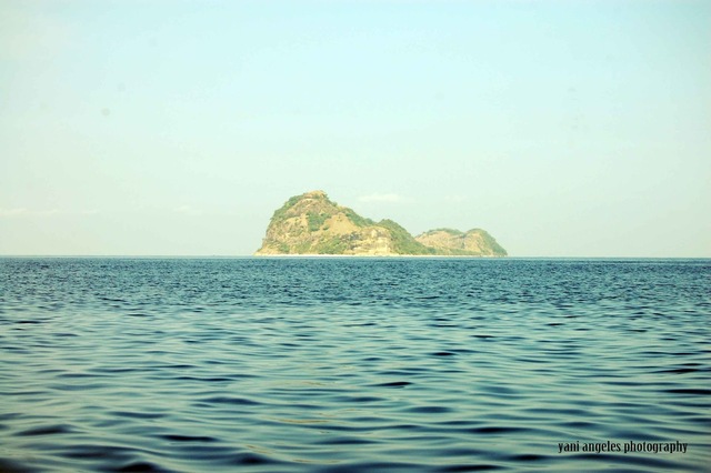 Calypso, the Sweet Nymph