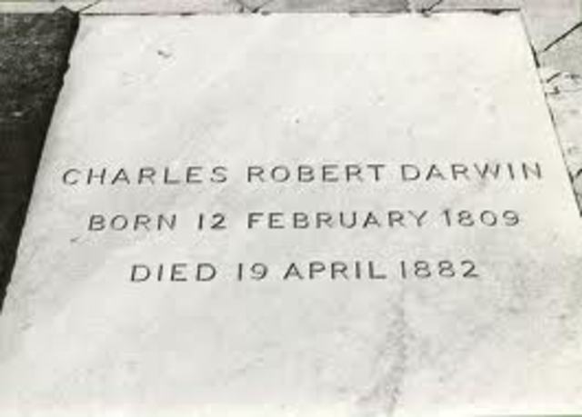 Darwin's Burial