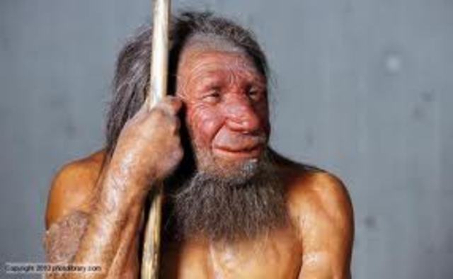 Neanderthal