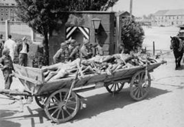 Nazi's implement the final solution