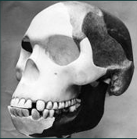 Piltdown Man