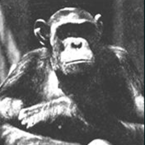 Anti-evolution Bills