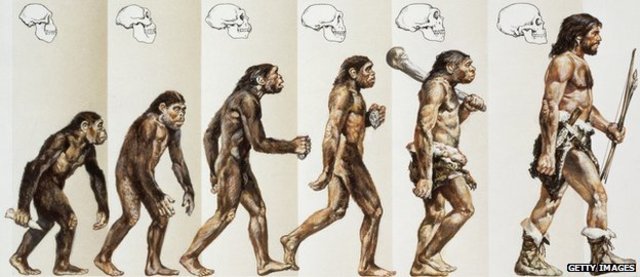 Evolution Accepted