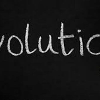 Timeline: Evolution Timeline