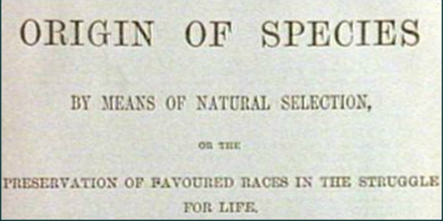 Origin of Species