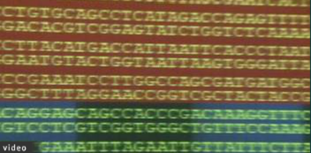 Human Genome