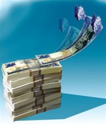 Libre flotación de la paridad peso-dólar.