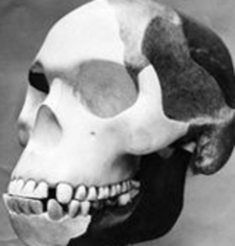 Piltdown Man