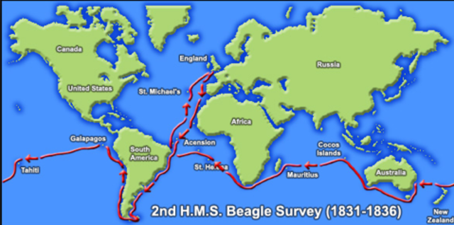 Beagle Voyage