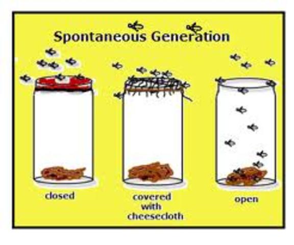 Spontaneous Generation
