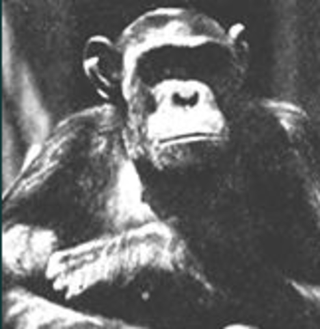 First Anti-evolution bills