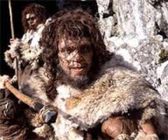 Homo neanderthalensis