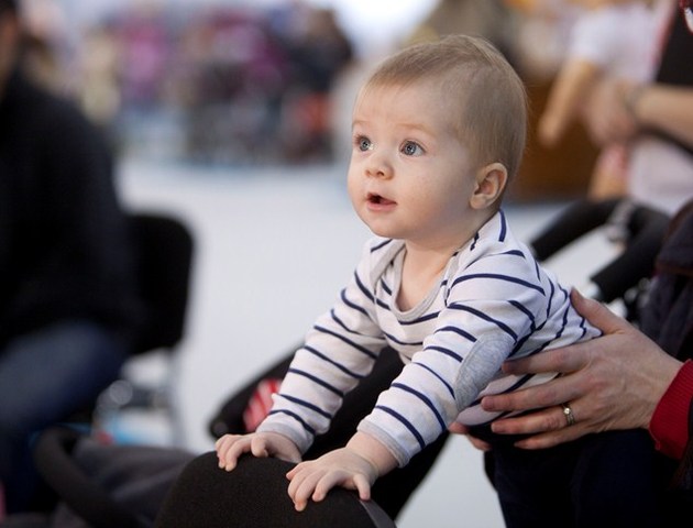 22-24months Cognitive