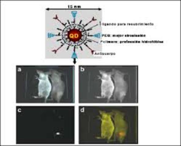 Nanoparticulas en la detencion del cancer