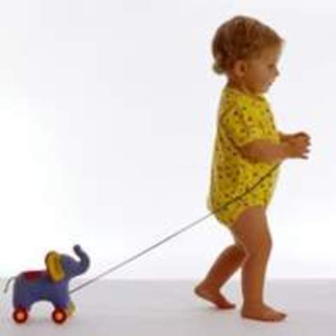 16-18 Months Physical