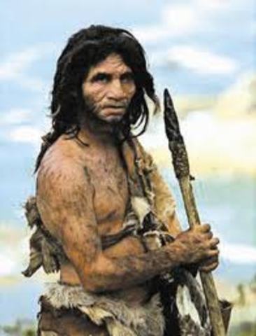 Homo neanderthalensis