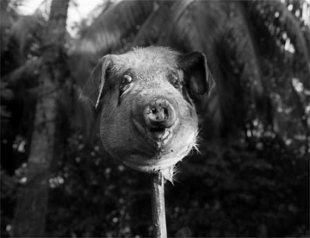 Gift for the Darkness