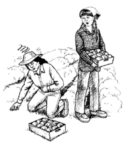 En Francia, en donde se le dio gran promoción a la legislación intervencionista, adelanto que se dio con la Revolución